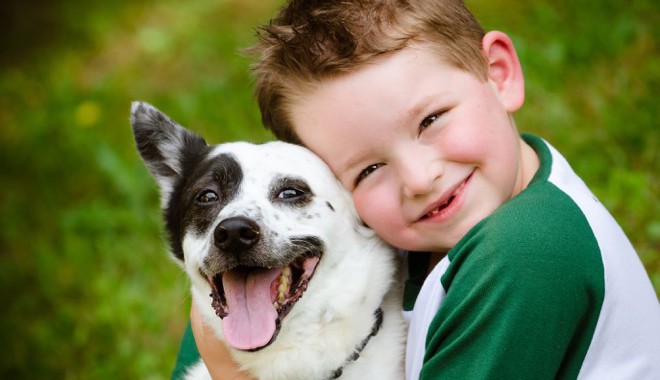 Selecting Your Child's First Pet - At Home Pet Care, LLC