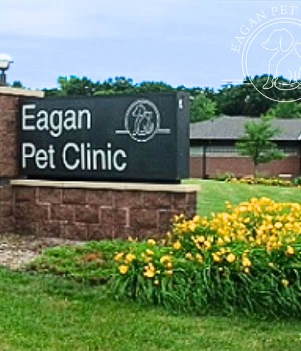 Eagan Pet Clinic – Eagan, MN