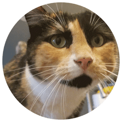 Linda E. in Eagan, MN