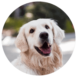 Erin, N., Inver Grove Heights, MN