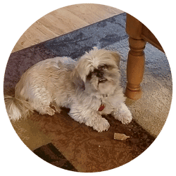 —Lisa D., Eagan, MN