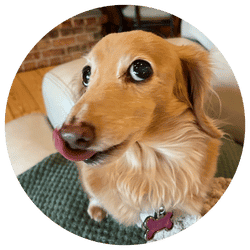 Nancy, John, and our “crew,” Inver Grove Heights, MN