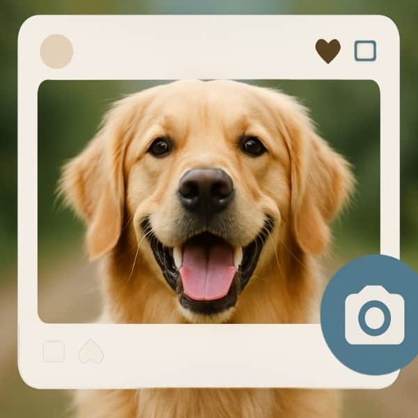 Photos and Privacy FAQ Payment and Policies FAQ