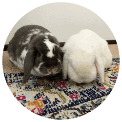 Anna S., Burnsville, MN