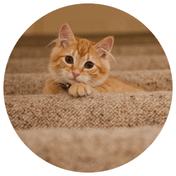 Susan & Kanan S., Eagan, MN