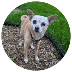 Tara. A in Rosemount, MN