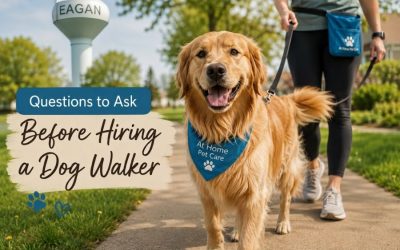 Questions to Ask Before Hiring a Dog Walker